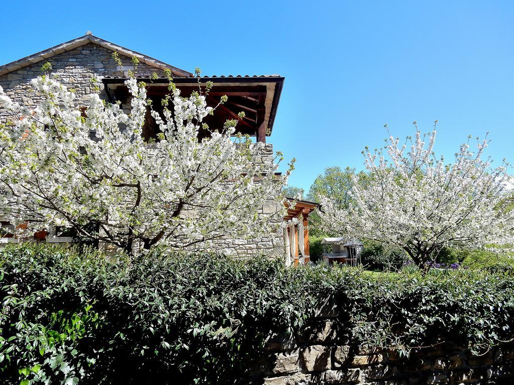 Holiday Home Casa Dei Farfui Momjan ภายนอก รูปภาพ